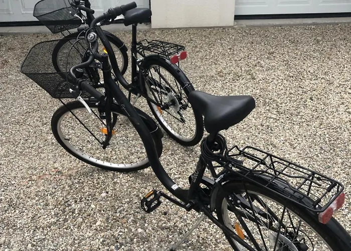 Appartement Maison Chaleureuse & *